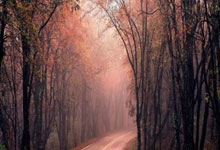 英超第28輪熱刺5-0埃弗頓 凱恩梅開二度孫興慜破門+失單刀.