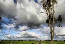 IM体育：孔蒂：欧冠资格是首要目标 希望未来能整场比赛都表现出色.