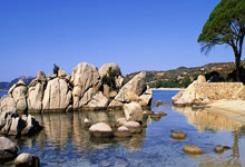 迪诺-巴乔：那不勒斯配得上第一；麦克托米奈的风格像我.